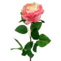 Floristik24 Deco rose pink Ø10cm 52cm 3stk