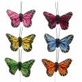 Floristik24 Dekorative sommerfugle på tråd flerfarvet 5,5 cm 24 stk