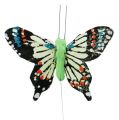 Floristik24 Dekorative sommerfugleassorterede 6 cm 24stk
