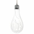 Floristik24 LED-lys dekorativ glødelampe varm hvid 20cm