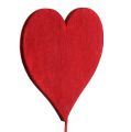 Floristik24 Deco stik hjerteform rød 5,5cm L28cm 24stk