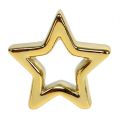 Floristik24 Dekorativ stjerne guld 6,5 cm 6stk