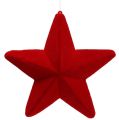 Floristik24 Dekorativ stjerne rød strømmet 20 cm