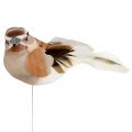 Floristik24 Dekorativ fugl til at klæbe brun 10 cm 12stk