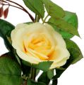 Floristik24 Dekorativ rose i en gul gryde 23 cm