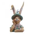 Deco kanin kanin buste dekoration figur kanin hoved 18cm