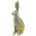 Floristik24 Dekorative Bunny Sitting Grå Guld Vintage påske 20,5x11x37cm