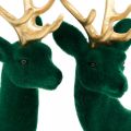 Floristik24 Deco hjortegrøn og guld juledekoration hjortefigurer 20cm 2stk