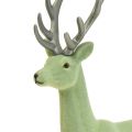 Floristik24 Dekorativ hjorte rensdyr julefigur grøn grå H37cm