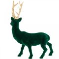 Floristik24 Deco hjort stående grøn guld juledekoration figur 40cm