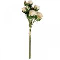 Floristik24 Deco Roses Creme Kunstige Roser Silkeblomster 50cm 3stk