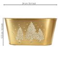 Dekorativ oval skål, juletræsformet plantekasse, guld, 24×13×12,5 cm | Floristik24.dk