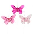 Floristik24 Deco sommerfugl pink-pink sort. 6 cm 24 stk