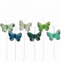 Floristik24 Deco sommerfugl på trådgrøn, blå 5-6cm 24p
