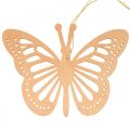 Deco sommerfugle deco bøjle orange/pink/gul 12cm 12stk