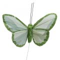 Floristik24 Dekorative sommerfugle grønne fjer sommerfugle på tråd 10cm 12stk