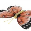 Floristik24 Deco sommerfugle med klemme B4,5–11,5cm 10stk brun orange