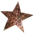Floristik24 Deco Star Julestjerne Kokos Pink Metallic 5cm 50p