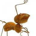 Floristik24 Dekorativ figur myre metal sommerfuglenet havedekoration rust 19cm
