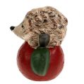 Floristik24 Dekorativ figur pindsvin på æble 7,5 cm keramik