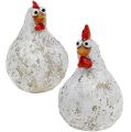Floristik24 Kylling og hane dekoration figurer 5,5 cm - 6,5 cm 6stk