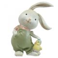 Floristik24 Deco figurer deco kanin kanin børn med kyllinger H11cm 2stk