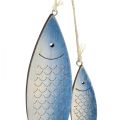 Floristik24 Dekorativ bøjle fisk blå hvid skæl 11,5/20 cm sæt af 2