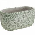 Floristik24 Dekorativ skål keramik oval grøn hvid grå gran grene L22,5cm