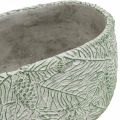 Floristik24 Dekorativ skål keramik oval grøn hvid grå gran grene L22,5cm