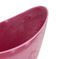 Floristik24 Dekorativ skål plastik pink 20cm x 9cm H11,5cm, 1p