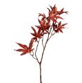 Floristik24 Dekorativ gren mørkerød med glimmer 52 cm