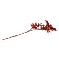 Floristik24 Dekorativ gren mørkerød med glimmer 52 cm