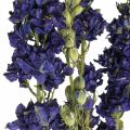 Floristik24 Tørret delphinium, tør blomster, delphinium blå L64cm 25g