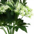 Floristik24 Dildblomstrende, kunstige urter, dekorativ plantegrøn, hvid 49cm 9stk