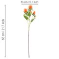 Kunstig orange saflor som kunstig blomst til vaser og dekoration, 55 cm, 4 stk. | Floristik24.dk