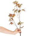Kunstig efterårsgren af sødgummitræ med blade og frugtklaser, 132 cm | Floristik24.dk