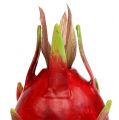 Floristik24 Dragonfrugt 15 cm rød 1 stk