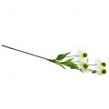 Floristik24 Echinacea blomst kunstig hvid 90cm