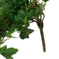Floristik24 Ivy hænger grøn 90 cm