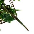 Floristik24 Ivy bøjle hvid-grøn 70cm