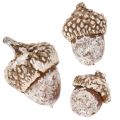 Agern, naturprodukt til dekoration, hvidkalkede, 1-3 cm, 300 g | Floristik24.dk