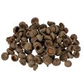 Floristik24 Naturlige agernhatte, dekorative skåle til efterår og advent, 2 cm, 300 g