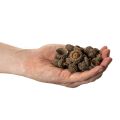 Naturlige agernhatte, dekorative skåle til efterår og advent, 2 cm, 300 g | Floristik24.dk