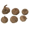 Naturlige agernhatte, dekorative skåle til efterår og advent, 2 cm, 300 g | Floristik24.dk