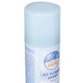 Isblomstspray Dekorationsspray til vinduer og vinterdekorationer på glas 150 ml | Floristik24.dk