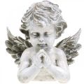 Floristik24 Bedende engel, begravelse blomster, buste af engel figur, grav dekoration H19cm W19.5cm