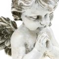 Floristik24 Bedende engel, begravelse blomster, buste af engel figur, grav dekoration H19cm W19.5cm