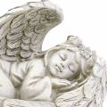 Floristik24 Dekorativ engel sover 18cm x 8cm x 10cm