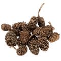 Floristik24 Ellekogler, naturprodukt til dekoration og hobbyarbejde, guld, 3 cm, 300 g