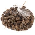 Ellekogler, naturprodukt til